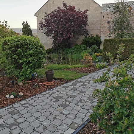 Fewo Rohleder De Mit 130M2 Und Garten Fuer 6Pers Mit 2 Bad Cottbus Exteriör bild