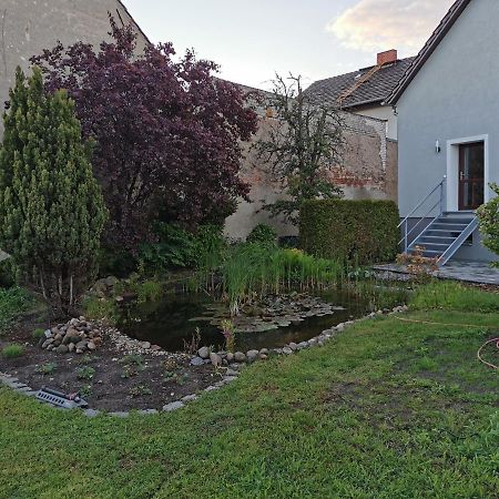 Fewo Rohleder De Mit 130M2 Und Garten Fuer 6Pers Mit 2 Bad Cottbus Exteriör bild