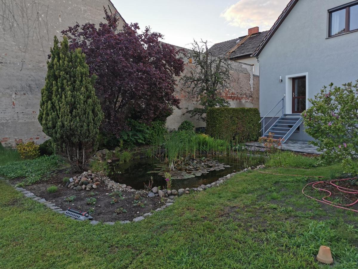 Fewo Rohleder De Mit 130M2 Und Garten Fuer 6Pers Mit 2 Bad Cottbus Exteriör bild