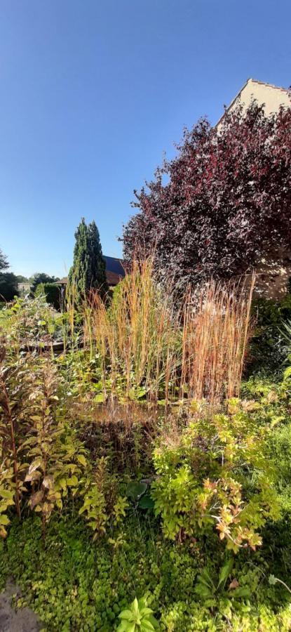 Fewo Rohleder De Mit 130M2 Und Garten Fuer 6Pers Mit 2 Bad Cottbus Exteriör bild